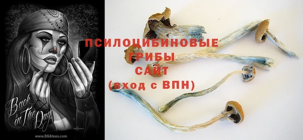 твердый Лабытнанги