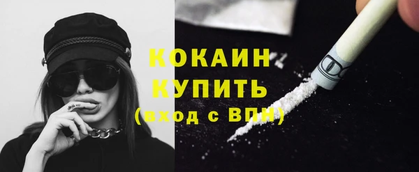 PSILOCYBIN Ладушкин