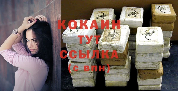 PSILOCYBIN Ладушкин