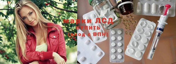 PSILOCYBIN Ладушкин