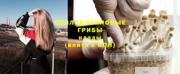твердый Лабытнанги