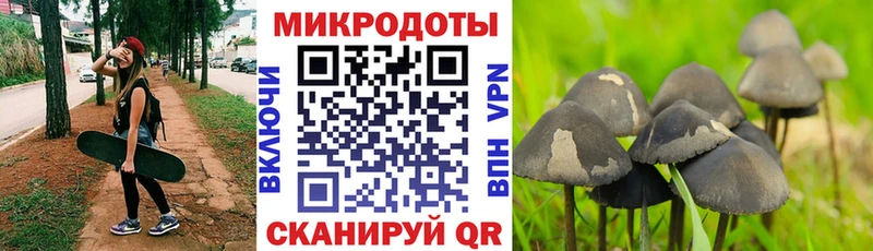 Купить закладки  Тырныауз  Галлюциногенные грибы ЛСД 